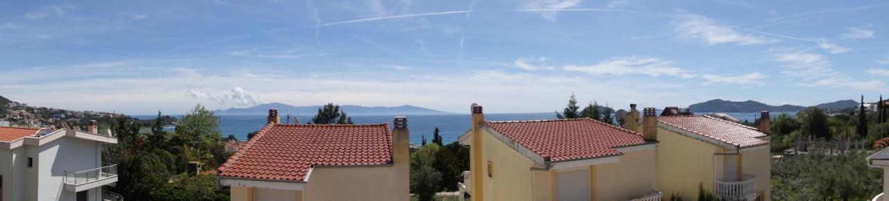 Artemis Luxury Villa Palaiontsiflikion Bagian luar foto